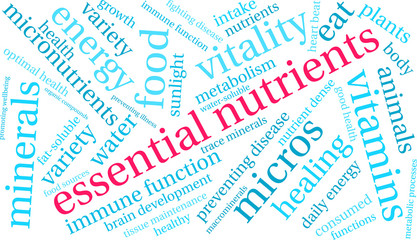 Essential Nutrients Word Cloud on a white background. 