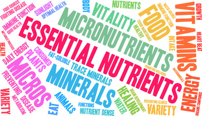 Essential Nutrients Word Cloud on a white background. 