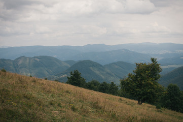 Hiking in the Low Tatra mountains in Slovakia, almost alone on the ridgeway, only majestic mountains