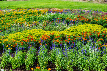 久住の秋の寄せ植え花壇
