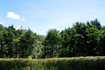 People enjoy a healthy trip in the public park Arvi in the city of Medellin, with a lot of trees, wood bridge and a river