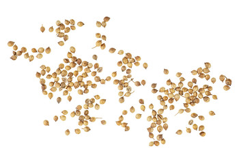 Coriander seeds isolated on white background, top view.