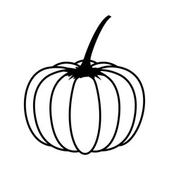 pumpkin vegetable season isolated icon