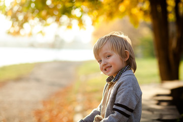 portrait of a happy cute little boy blond 4 years old in the park in autumn