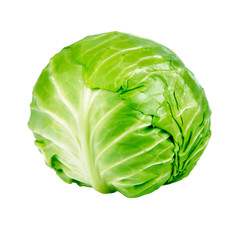 Green Cabbage Cutout
