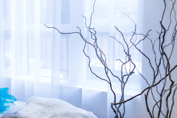 Transparent glass vase and branches on white background with light from window.
