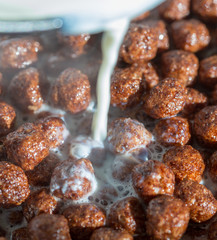 Chocolate cereal balls in milk as food background