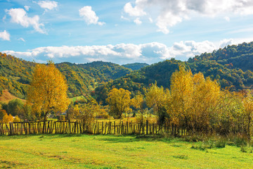 wonderful rural landscape in mountains. sunny autumn weather with clouds on the sky. trees in yellow foliage on the grassy pasture behind the wooden fence.  beautiful carpathian countryside