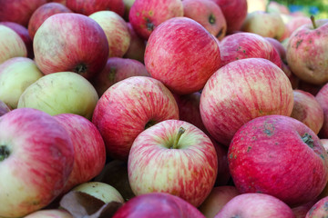 Background from red homemade garden apples
