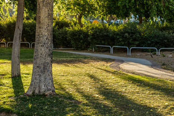 morning sun rise park green grass meadow natural fresh scenic view with small paves road for walking and promenade 