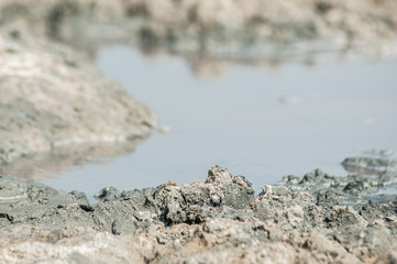 Mud with salt in pink salt lake