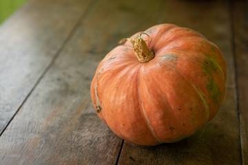 Pumpkin grown organically by farmers on small farms in Pernambuco, Northeastern Brazil. The...