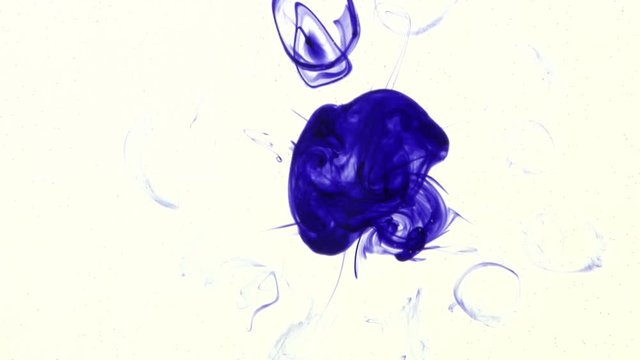 A drop of blue ink is dropped into a laboratory glass petri dish and drifting in abstract shapes. Slow motion clip, shot from below the dish.