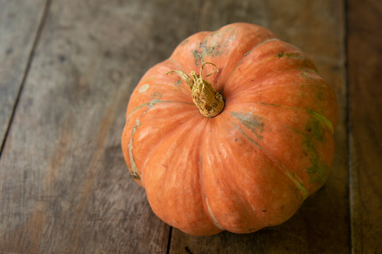 Pumpkin grown organically by farmers on small farms in Pernambuco, Northeastern Brazil. The vegetable is known as "Jerimum" in this region.