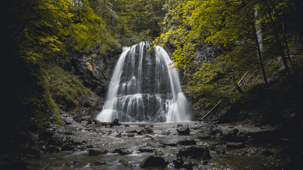 Obraz premium Wasserfall im Wald