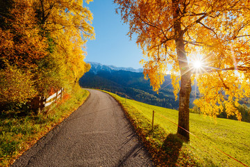 Magic image of alpine area in Santa Magdalena village.