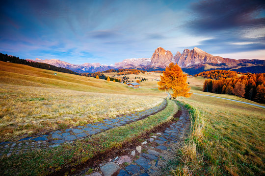 Scenic image of bright hills. Location Seiser Alm or Alpe di Siusi, South Tyrol, Italy.