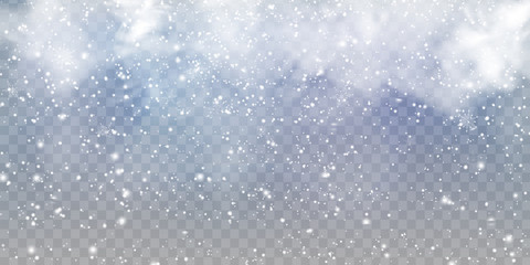 Naklejka na ściany i meble Falling Christmas beautiful snow with snowdrifts isolated on transparent background. Grey shiny poster with winter landscape, wind, blizzard. Snowflakes, snow background. Heavy snowfall, snowflakes.