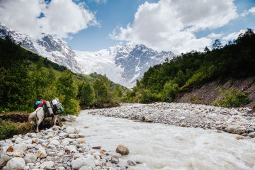 Grand cliffs near Mt Tetnuldi. Location Upper Svaneti, Georgia country, Europe.