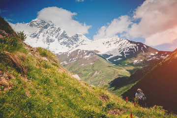 Alpine meadows in the sunny light. Location Upper Svaneti, Georgia country, Europe. Main Caucasian ridge.