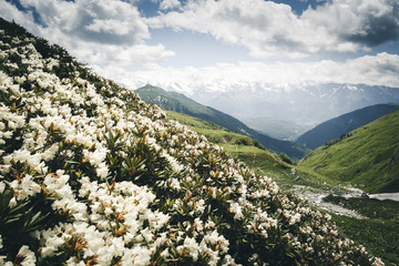Fototapeta premium Location Upper Svaneti, Georgia country, Europe. The main Caucasian ridge.