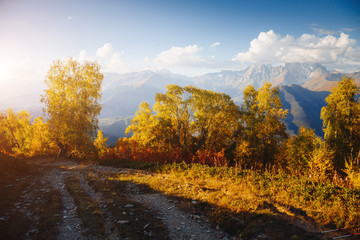 Naklejka premium Alpine meadows in the sunny light. Location Upper Svaneti, Georgia country, Europe. Main Caucasian ridge.