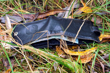 Lost leather wallet with money on autumn grass background, lost money concept.