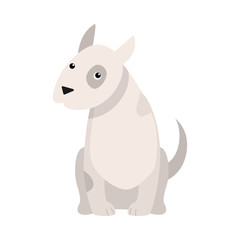 Bull Terrier dog. Raster illustration in flat cartoon style