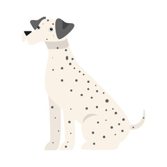 Cute dalmatian dog. Raster illustration in flat cartoon style