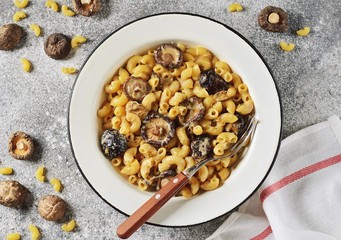 Homemade pasta with cheese and dried mushrooms. Mac and cheese with mushroom. 