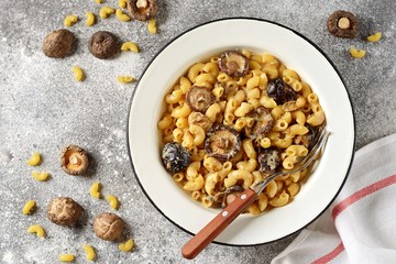Homemade pasta with cheese and dried mushrooms. Mac and cheese with mushroom. 