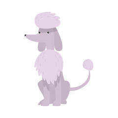 Poodle dog. Raster illustration in flat cartoon style