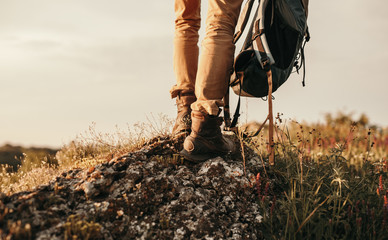 Crop traveler standing on stone in nature