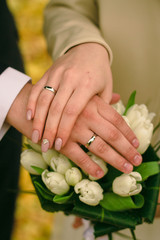 Obraz na płótnie Canvas Hands of the bride and groom with silver engagement rings on the bride's bouquet of white tulips. Autumn wedding concept