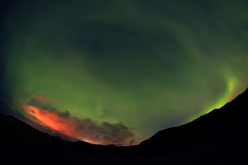 Aurora Borealis in Iceland, Europe