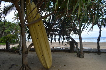 Paddleboard on Beach