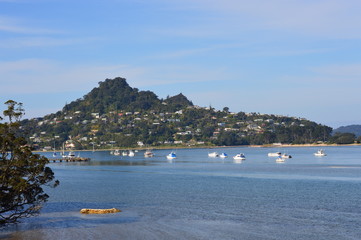 Island with boats surrounding 