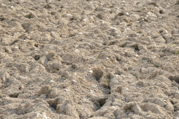 Arable land in the countryside. Farmland landscape. View of agricultural land prepared for sowing. Plowed and harrowed ground. Soil recently ploughed for new season.