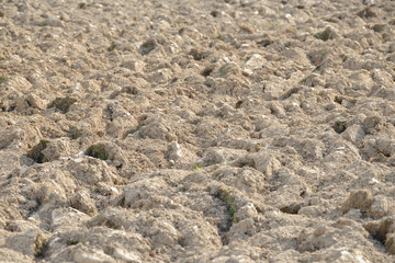 Arable land in the countryside. Farmland landscape. View of agricultural land prepared for sowing. Plowed and harrowed ground. Soil recently ploughed for new season.
