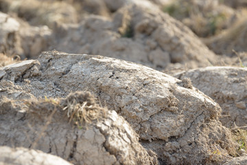 Arable land in the countryside. Farmland landscape. View of agricultural land prepared for sowing. Plowed and harrowed ground. Soil recently ploughed for new season.