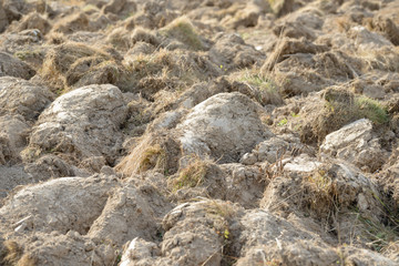 Arable land in the countryside. Farmland landscape. View of agricultural land prepared for sowing. Plowed and harrowed ground. Soil recently ploughed for new season.