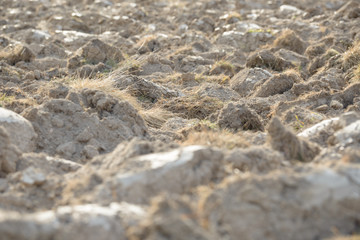 Arable land in the countryside. Farmland landscape. View of agricultural land prepared for sowing. Plowed and harrowed ground. Soil recently ploughed for new season.