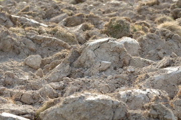 Arable land in the countryside. Farmland landscape. View of agricultural land prepared for sowing. Plowed and harrowed ground. Soil recently ploughed for new season.