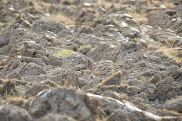 Arable land in the countryside. Farmland landscape. View of agricultural land prepared for sowing. Plowed and harrowed ground. Soil recently ploughed for new season.