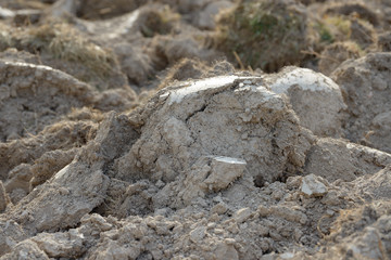 Arable land in the countryside. Farmland landscape. View of agricultural land prepared for sowing. Plowed and harrowed ground. Soil recently ploughed for new season.