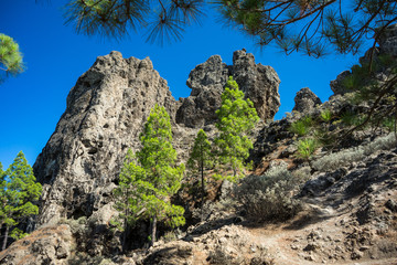 Gran Canaria - Wanderung zum Roque Nublo: 1800er Berg