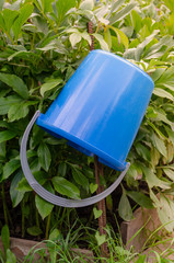 Blue water bucket inverted in the garden