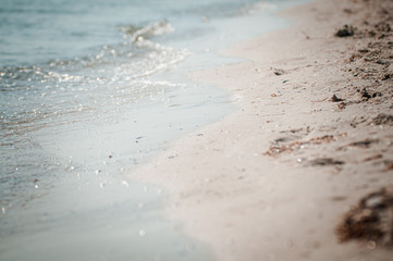 sea wave washes the sandy shore