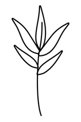 Isolated leaf vector design vector illustration