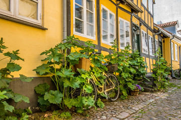 Fototapeta na wymiar Yellow bike on the pavement overgrown with green hollyhocks in Faaborg, Denmark